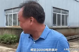损失约9000万，歙县茶企老板忍不住哭泣，央视新闻：一起想办法图片