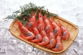 除了芥末酱油之外的甜虾料理图片