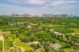 河南寺河南遗址，青砖窑洞建筑群，小众静谧很少人知图片