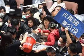 台“立法院”打架登上外媒，BBC：台湾议会斗殴恶名昭彰图片