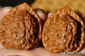 核桃中的极品你知道吗？史上最全盘点，文玩核桃的分类及图片！图片