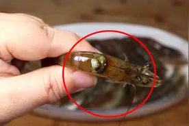 虾头上挤出是“黄”还是“屎”？别傻傻的不知道，很多人都吃错了视频封面
