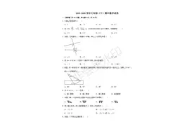 2019-2020学年七年级（下）数学试卷图片