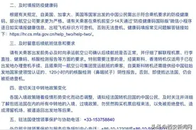中国驻法国大使馆郑重提醒：如确需从巴黎转机，请留意这些事项图片