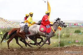 甘肃天祝：被授予“中国高原走马之乡”称号图片