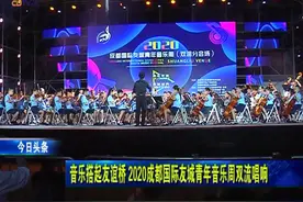 音乐搭起友谊桥 2020成都国际友城青年音乐周双流唱响图片