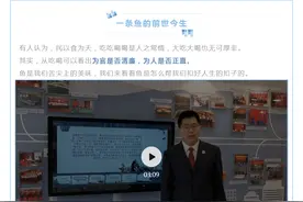 青年说廉|一条鱼的前世今生图片