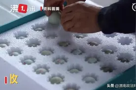 女子网购因发货地是武汉拒收：这是想害死我们图片