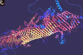 AlphaFold 2再发蛋白质结构预测结果，解锁98.5%人类蛋白质组图片
