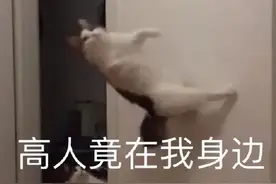 打篮球能促长高？你可能被骗了……图片
