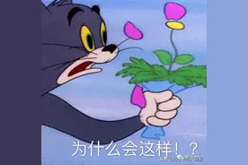 “宿舍里都开始长草了？！”返校学生纷纷晒出奇珍异宝 哈哈哈哈图片