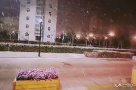 毕业季的遗憾图片