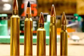 整天7.62mm，盘点一下7.62mm的枪和枪弹究竟有多少种图片