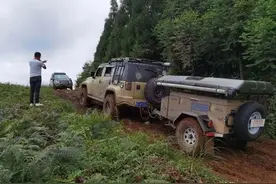 相约高山，穿越丛林图片