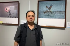 合肥大爷十年拍了400多种鸟 拍摄原则：不惊扰不伤害图片