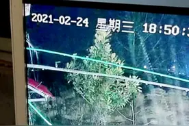 杨树行流量博弈（21）拉面哥签约满4个月，黄二蛋终于开始爆猛料图片