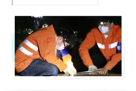 星光下的我们，还是从前那个少年图片
