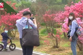 别宅了！生态园攻略送上：百亩杜鹃春意浓 吸引市民们驻足观赏视频封面
