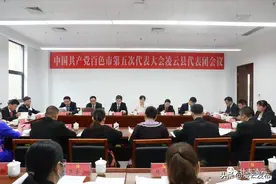 吴志伟、伍奕蓉参加凌云县代表团讨论图片