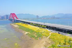 免费钓鱼天堂，梅山湾花开成海，红桥成网红图片