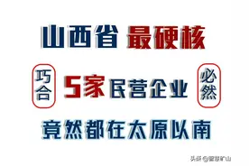盘点山西省最硬核的5家民营企业，竟然全部都在太原市以南图片