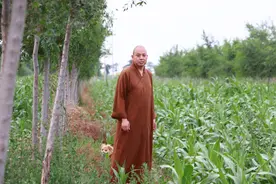 松开握紧烦恼的手图片