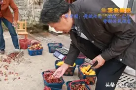 一城好人丨周贵清：黄陂七旬“硬核”大爷 带动村民致富图片