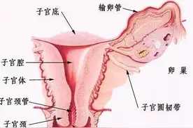 宫颈出现问题，为何自己没感觉？图片