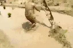 搞笑GIF趣图：小姐姐火力全开，这是得有多大的仇啊图片