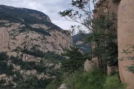 泰山无名山野爬 遇险 灌木丛迷路 受伤 眼镜丢失 惊现泰山野生多肉 奇松图片