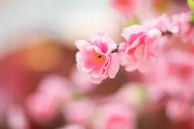 男人过了三十岁，要想走桃花运，有些习惯要戒掉图片