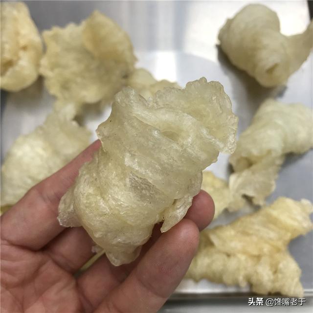 干鳘鱼鳔怎样泡发食用 2026年干鳘鱼鳔怎么做好吃