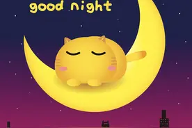 哈咪猫晚安壁纸图片