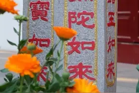 云赏春景 | 湖北32个寺院， 60+春天美图送给你图片