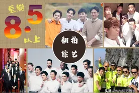 这些年中国翻拍过的韩国综艺，之「相当不错~」篇图片