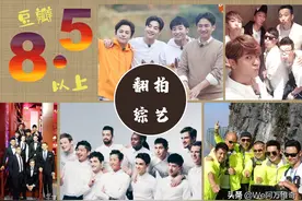 这些年中国翻拍过的韩国综艺，之「相当不错~」篇图片