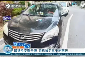 磁铁片贴车牌上，6变成3 司机被罚款五千拘留两天图片