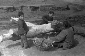 1942年河南大饥荒惨不忍睹，图9可怜孩子的眼神真让人黯然泪下图片