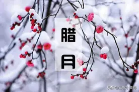 农村俗语“腊月立春，十栏九空”，啥意思？图片