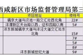 西咸新区655套房源价格公示   起价14519元/平方米图片