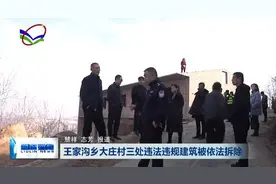 柳林：王家沟乡大庄村三处违法违规建筑被依法拆除图片