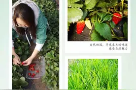 放假出去玩？千亩田园，采摘悠悠~金御华府春日采摘券免费放送（4月5日、9日、10日）图片