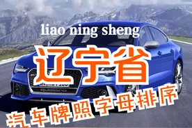 辽宁省汽车牌照按照字母排序图片