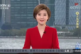 央视4套新宠崔爽，从地方台到国家台进步明显，半年就变洋气多了图片