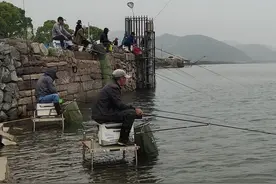 初夏钓鲢鳙经典钓例。钓哭水库老板，喜欢钓鲢鳙的钓友值得看看图片