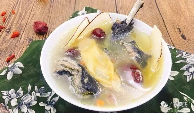 感冒能花胶响螺煲鸡汤 2026年感冒可以吃花胶鸡