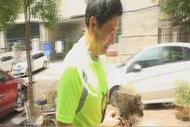 ​我们《民法典》来了丨捡到的小猫 我为什么不能养？图片