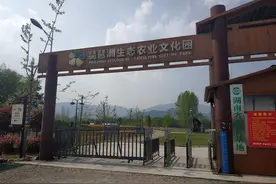 清明时节重游慈利琵琶花海，心情更舒畅充满正能量！图片