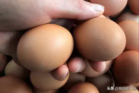 保存鸡蛋，别直接放冰箱，教你4句口诀，延长鸡蛋保鲜期图片