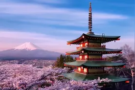 日本樱花季破史上最早纪录，气候变化一叶可知？图片